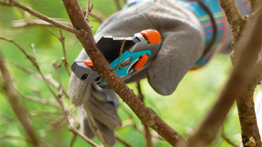 Идеально подходит для обрезки старых, одревесневших веток и лозы