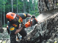 Автоматическая настройка