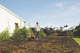 Культиватори